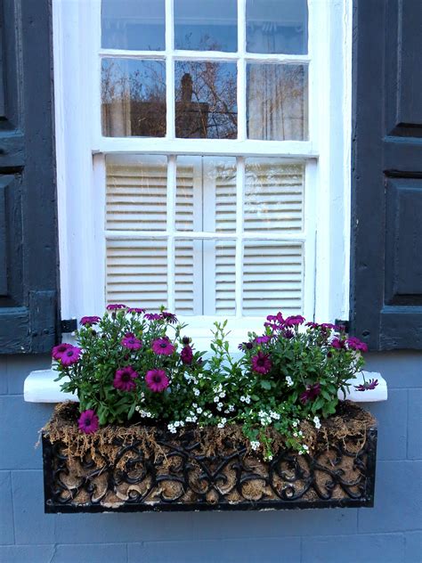 metal window box frame|36 inch window flower boxes.